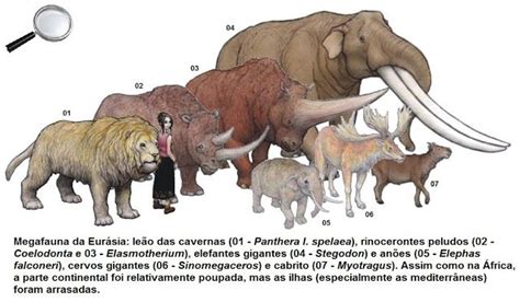 Megafauna Of Eurasia Prehistoric Wildlife Prehistoric Animals
