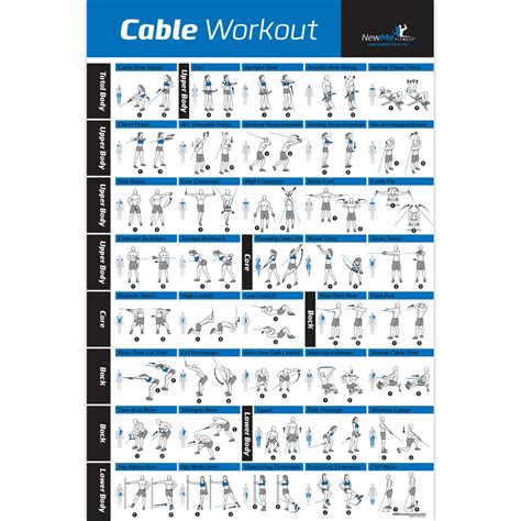 Laminated Cable Exercise Poster Hang In Home Or Gym Illustrated