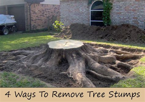 4 Ways To Remove Tree Stumps Home And Gardening Ideas