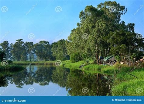 Forest Reflection Stock Photo Image Of Beautiful Blue 18803806