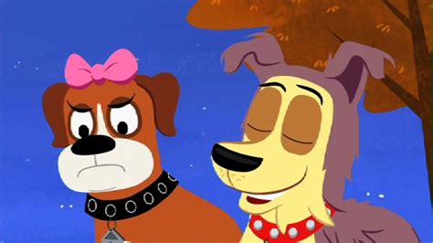 Lucky, cookie and the rest of the dogs in shelter 17 have an important secret mission: Watch Pound Puppies Episodes | Season 1 | TV Guide