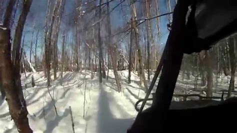 Argo With Tracks Mobbing The Woods In Deep Snow Youtube