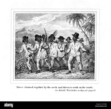 Slavery Slaves Slave Trade Ausgeschnittene Stockfotos Und Bilder Alamy