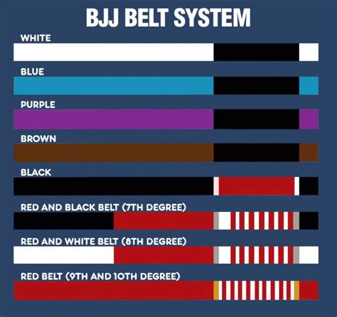 Brazilian Jiu Jitsu Belt System The Journey To Black Belt Middleeasy