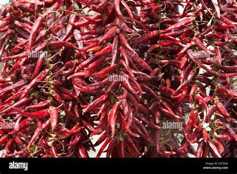 Chili Peppers Dried Peppers Stock Photo Alamy
