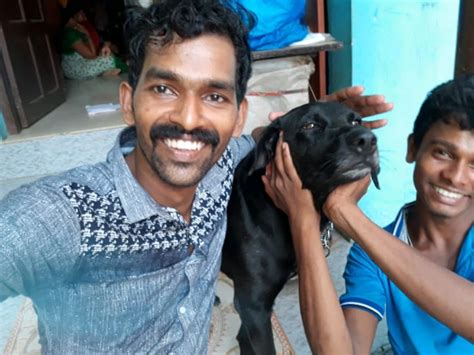 Dog Brutally Beaten To Death By 3 Youths In Kerala Outraged Netizens Trend