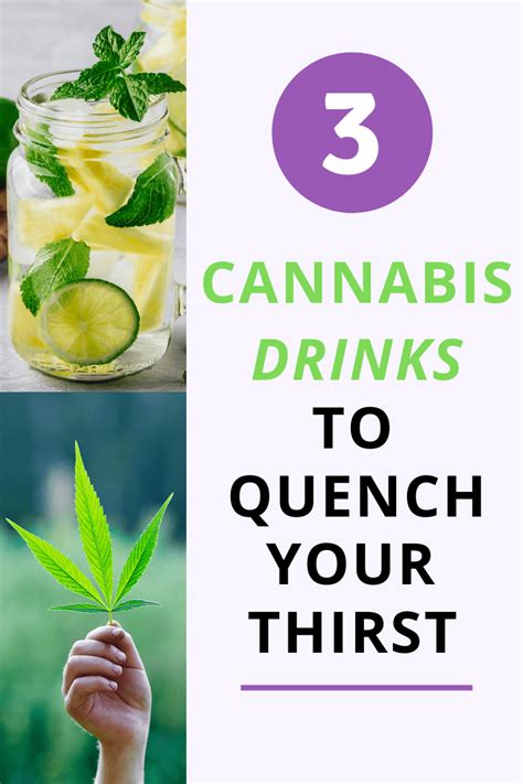 3 Cannabis Drink Recipes To Quench Your Thirst Dr Ross