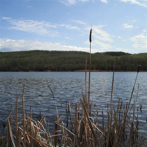 Long Lake Provincial Park Ellscott Tutto Quello Che Cè Da Sapere