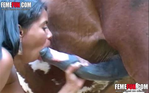 Latina Teen Enjoys Sex With A Horse Stuffs Her Horny Mouth