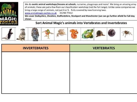 This worksheet is worth 20 points, rather than the usual 10. Learning Ideas Grades 8 Diagram Vertebrates Invertebrates Worksheets - demandtheban.org