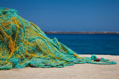 Fishing Nets And Sea 14278025510sg Whalebone