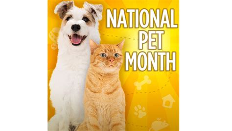 Pet insurance can save money in the long run, but comparison shop to evaluate the pros and cons of each plan. National Pet Month