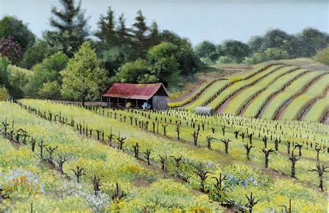 Wine Country Scenes Nancy Burres Artist