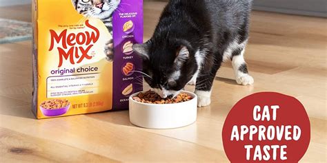 The 15 Best Cat Foods Of 2021 2022 Best Wiki