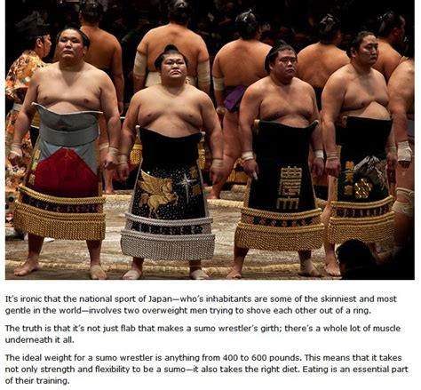 the daily diet of a sumo wrestler 3 pics