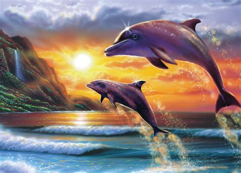 36 Wallpaper Dolphin Sunset On Wallpapersafari