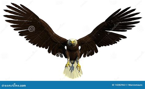 American Bald Eagle Swooping Cartoon Stock Photo