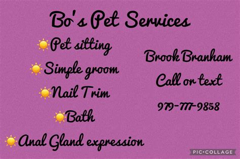 BB Pet Sitting | Bryan TX