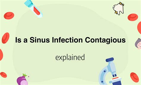 Is A Sinus Infection Contagious All Questions Answered