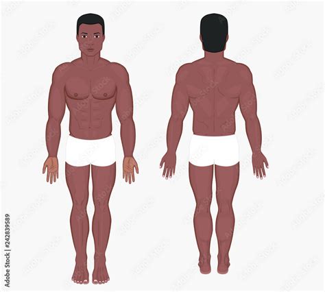Naked Body Of African American Man In Full Growth In Shorts Posterior Frontal Anterior Back