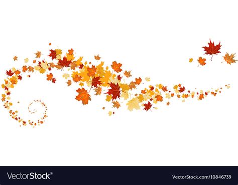 Swirl Of Maple Leaves Royalty Free Vector Image