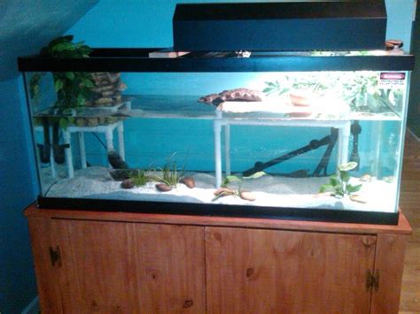 The basking platform itself has to be above the water so the turtle is dry as it basks. 15 best images about turtle on Pinterest | Terrarium ideas ...