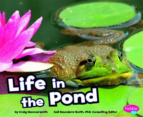 What To Read Childrens Books About Pond Life Tablelifeblog