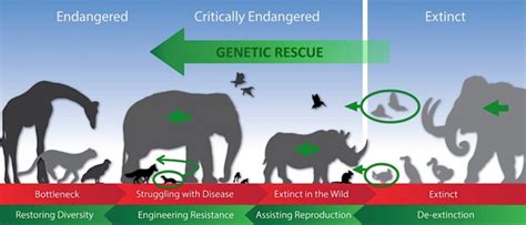 How Biotechnology Is Breaking Extinctions Grip The Campaign To