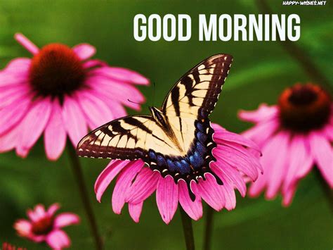 Butterfly S World Morning Images Good Morning Images Good Morning My