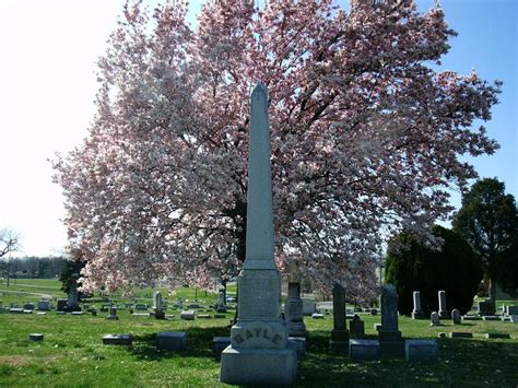 Ramblings Of The Caffeinated Genealogist Cemetery Spotlight Fernwood