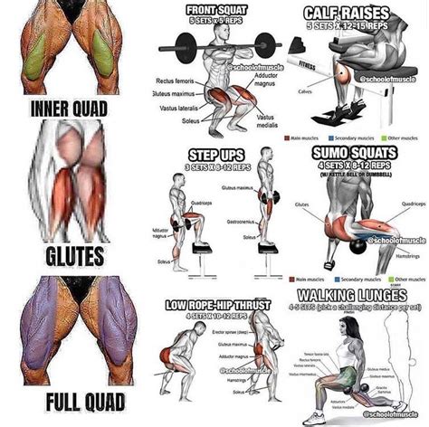 Full Leg Workout In This Program We Will Know About Best Legs