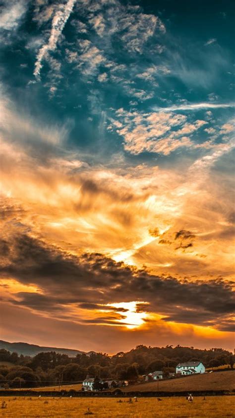 Download Wallpaper 480x854 Sunset Sky Clouds Field Trees Horizon