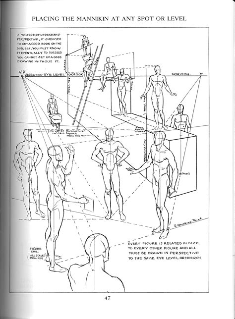 Andrew Loomis Figure Drawing Perspective Figure Drawing Tutorial Male Figure Drawing