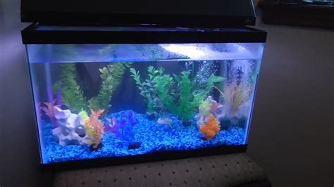 How I Setup My 10 Gallon Fish Tank Youtube