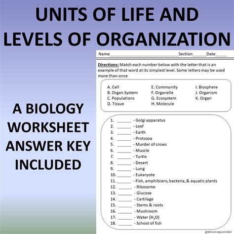 Levels Of Organization Of Life A Biology Worksheet Made By Teachers