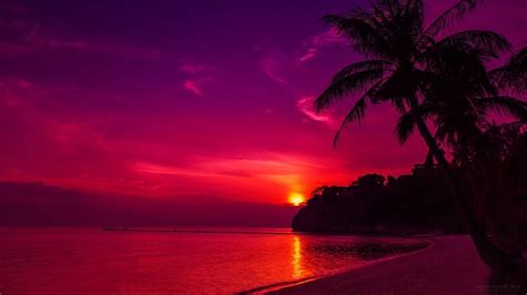 purple tropical sunset beach wallpapers top free purple tropical sunset beach backgrounds