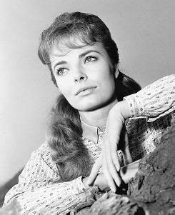 Her birthday, what she did before fame, her family life, fun trivia facts, popularity she began her career as a child actress, appearing at age seven in the television series sandy dreams. Joan Freeman - Alchetron, The Free Social Encyclopedia