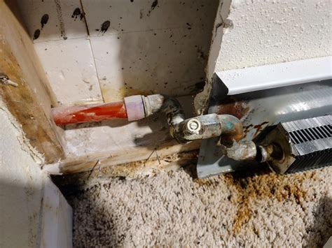 The best thing about house flippers is their paint, drywall, and