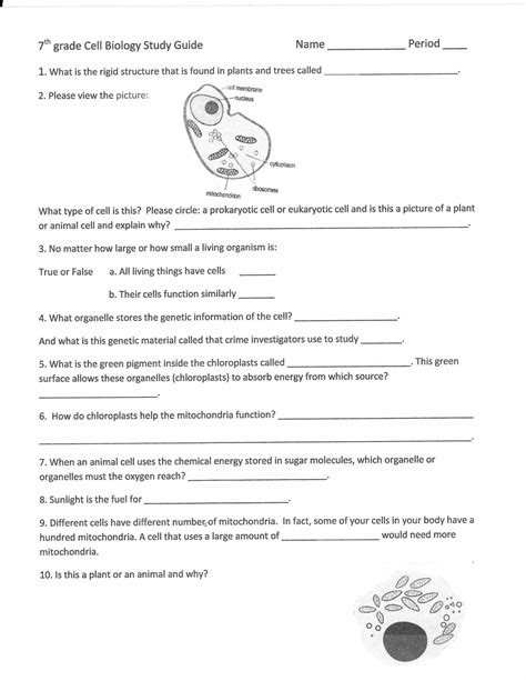 One way chemists describe matter is to assign different kinds of properties to different categories. Classification Of Matter Worksheet Pogil Answer Key | Printable Worksheets and Activities for ...