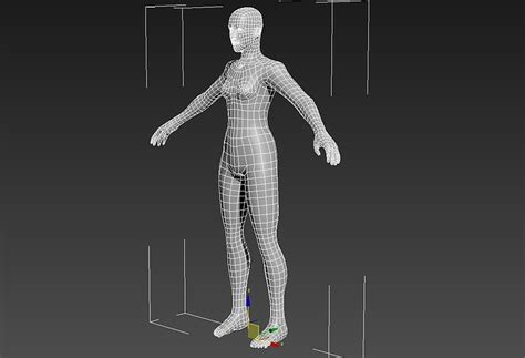 3d Model Female Anatomy Basemesh Cgtrader