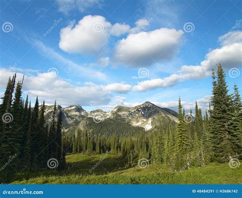 Landscape With Forest In British Columbia Mount Revelstoke Stock Image
