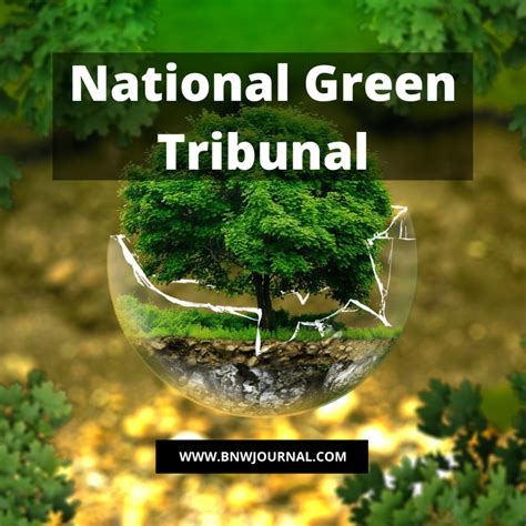 National Green Tribunal Black N White The Legal Journal