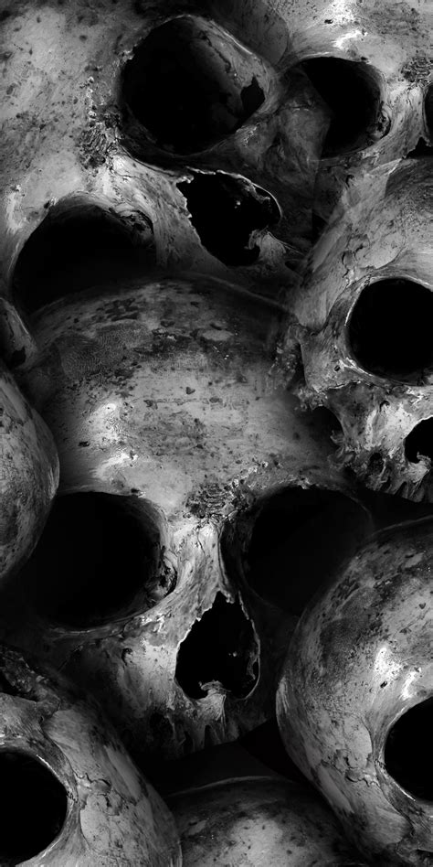 Skull Wallpaper Hd Skulls Wallpaper 4k Scary Monochrome 5k Black