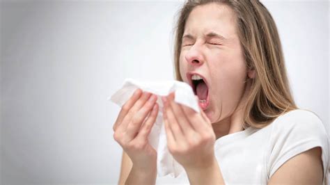 What Makes Us Sneeze