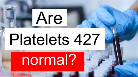 Is Platelet Count 427 Normal High Or Low What Does Platelet Count