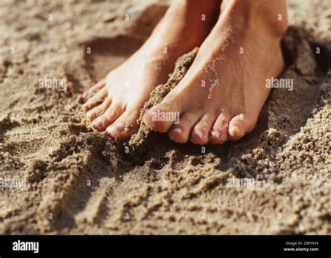 Women S Feet In The Sand Stock Photo Alamy