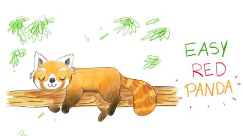How To Draw A Cute Red Panda Easy Way Comment Dessiner Facilement