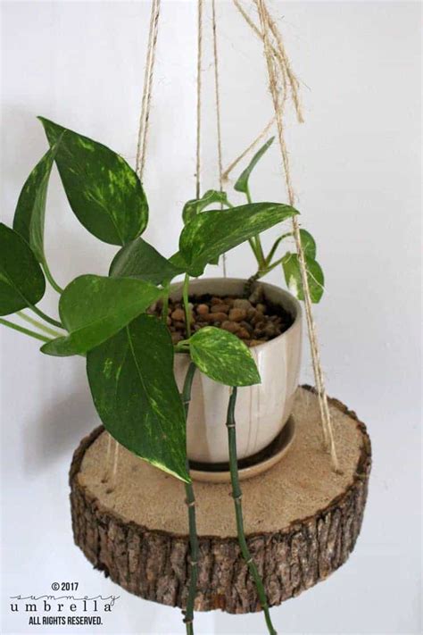 Easy Diy Hanging Planter Using A Wood Slice And Rope The Summery Umbrella
