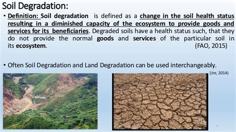 Soil Degradation And Regeneration