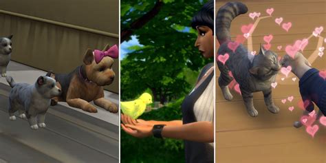 How To Breed Animals In The Sims 4